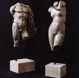 grossi3.jpg (8407 byte)