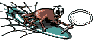 webcrawl.gif (1851 byte)